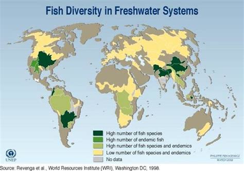 distribution de big fish|Comparing diversity and structure of freshwater fish.